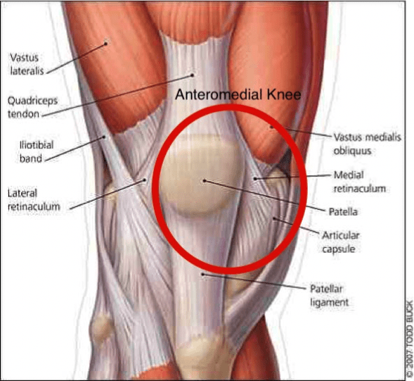 Lower Limb Injuries In Breaststroke Swimmers Coast Sport