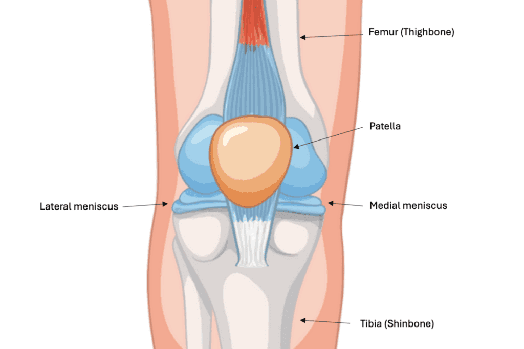 Labelled knee